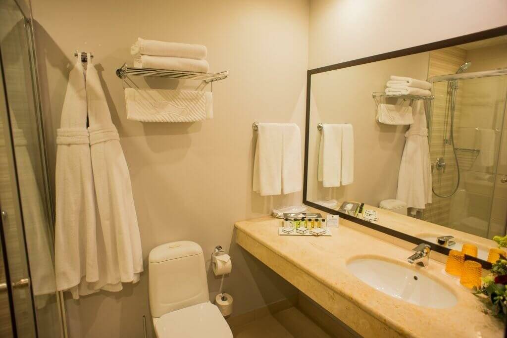 Фото Гостиницы Петро Палас Санкт-Петербург 98